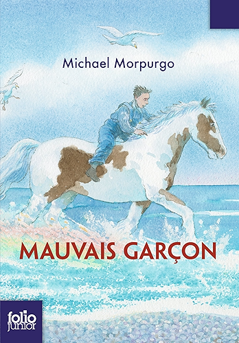Download Mauvais garçon (Folio Junior t. 1711) PDF