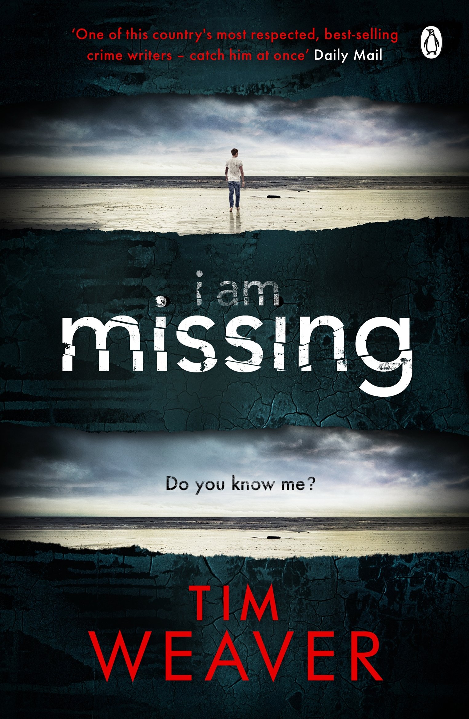 I Am Missing: The heart-stopping thriller from the Sunday Times bestselling author of No One Home: 8 (David Raker Missing Persons, 8)