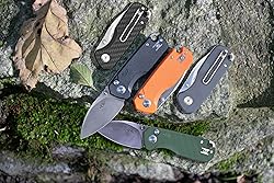Firebird GANZO FH925-BK Small Pocket Folding Knife