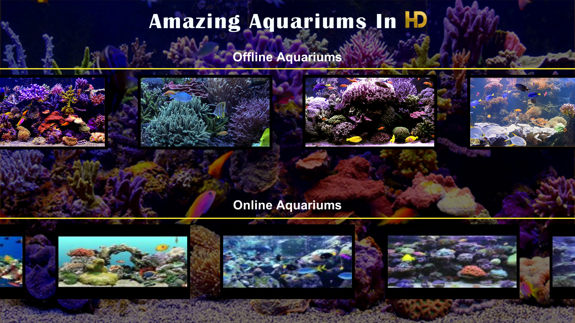 Amazing Aquariums In HD - Thumbnail 5