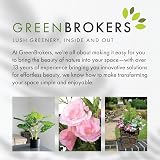 GreenBrokers C1001 Organic All Purpose Potting Compost 10L Peat Free view 7