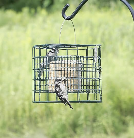 Duncraft Suet Sanctuary Bird Feeder Amazon Ca Patio Lawn Garden