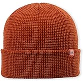 pistil Men's Tinh Beanie