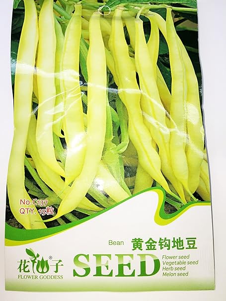 Amazon 種子 黄色インゲン豆 10粒入 野菜