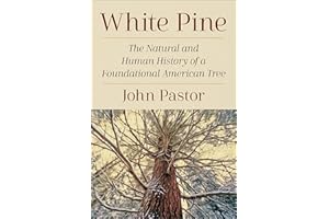 White Pine: The Natural and Human History of a Foundational American Tree