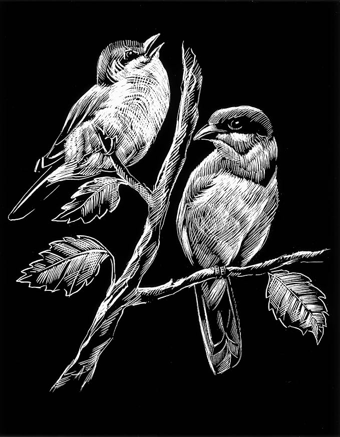 WASO-Hobby - 4er Scrapy Kratzbilder Set - Vogelmotive / Silber *Groß*