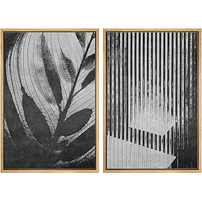SIGNWIN Framed Wall Art Print Set Black Abstract...