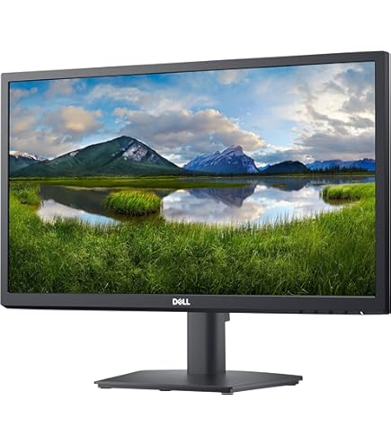 Amazon.com: Dell E2222HS 21.5
