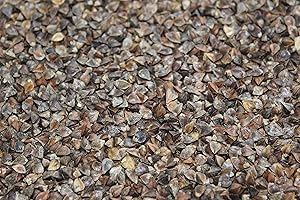 5 Lb. Buckwheat Wildlife Food Plot Seed, Quail, Ducks, Geese, Doves, Turkey, Wildlife