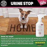 C&G Pets Urine Stop Spray 500ml Triple Action Dog Cat Repellent UK Made view 4