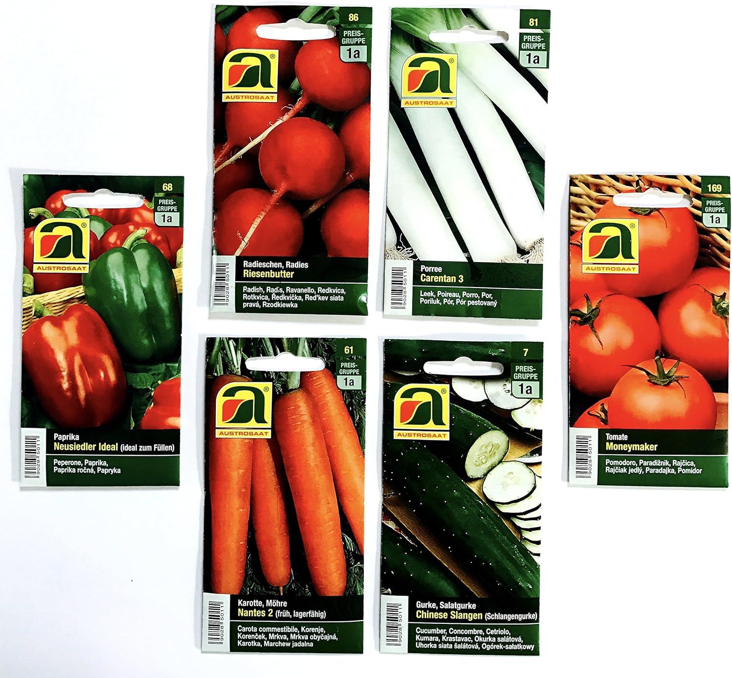 12 variedades | Surtido de semillas de verduras | más de 14000 ...