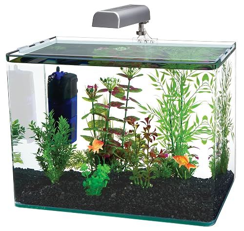 Penn-Plax Radius Curved Corner Glass Aquarium Kit - Includes 10 White ...