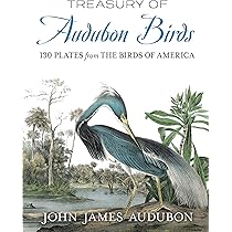 The Birds of America | Amazon.com.br