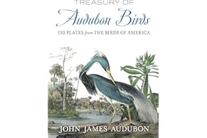 Treasury of Audubon Birds: 130 Plates from The Birds of America