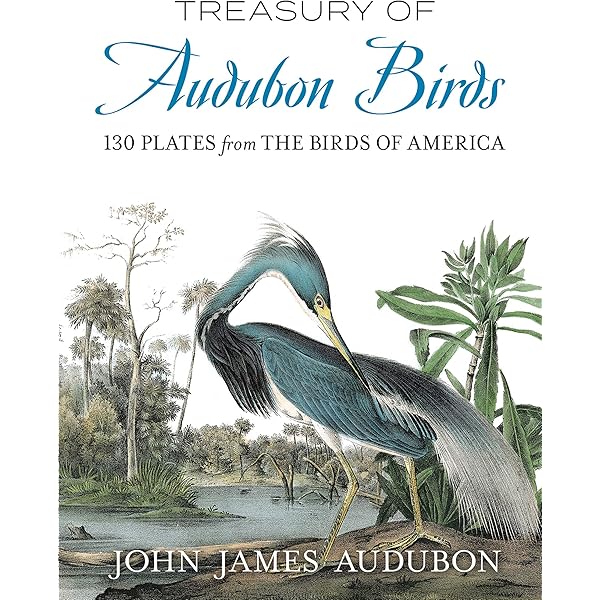The Birds of America | Amazon.com.br