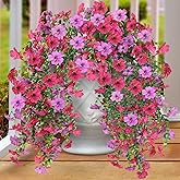 Artificial Fake Hanging Flowers Plants for Outdoor Outside Spring Summer Decoration 2PCS Faux Silk UV Resistant Realistic Mums Daisy with Eucalyptus for Home Porch Patio Balcony(Hot pink & Magenta)