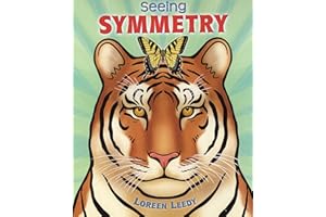 Seeing Symmetry