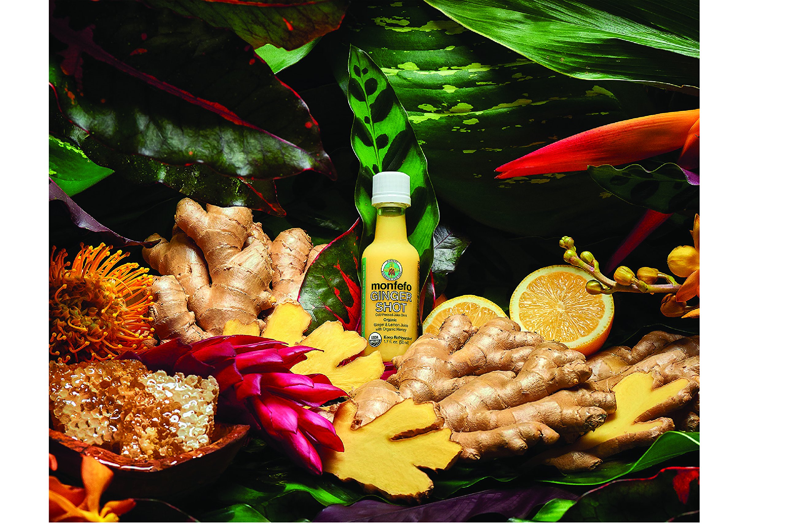 Organic ColdPressed Ginger Shot Buy Online in UAE. Miscellaneous