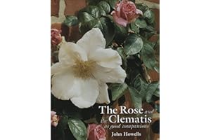 Rose and the Clematis