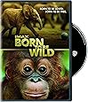 IMAX: Born to Be Wild