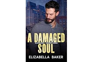A Damaged Soul (Blackguard Security Book 8)
