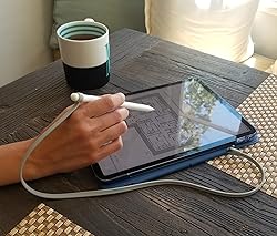 ZoopLoop Grey Silicone Scratchproof 20.75in Tether