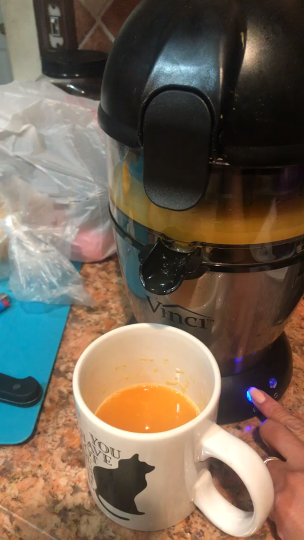 VINCI HANDS FREE ELECTRIC CITRUS JUICER