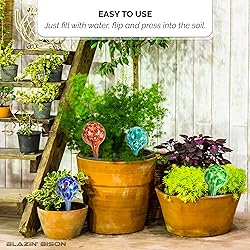 Blazin' Bison Indoor Plant Watering Globes