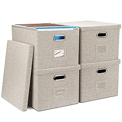 Graciadeco File Organizer Box, Collapsible Storage