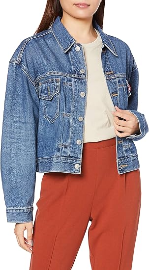 levi's the trucker denim jacket
