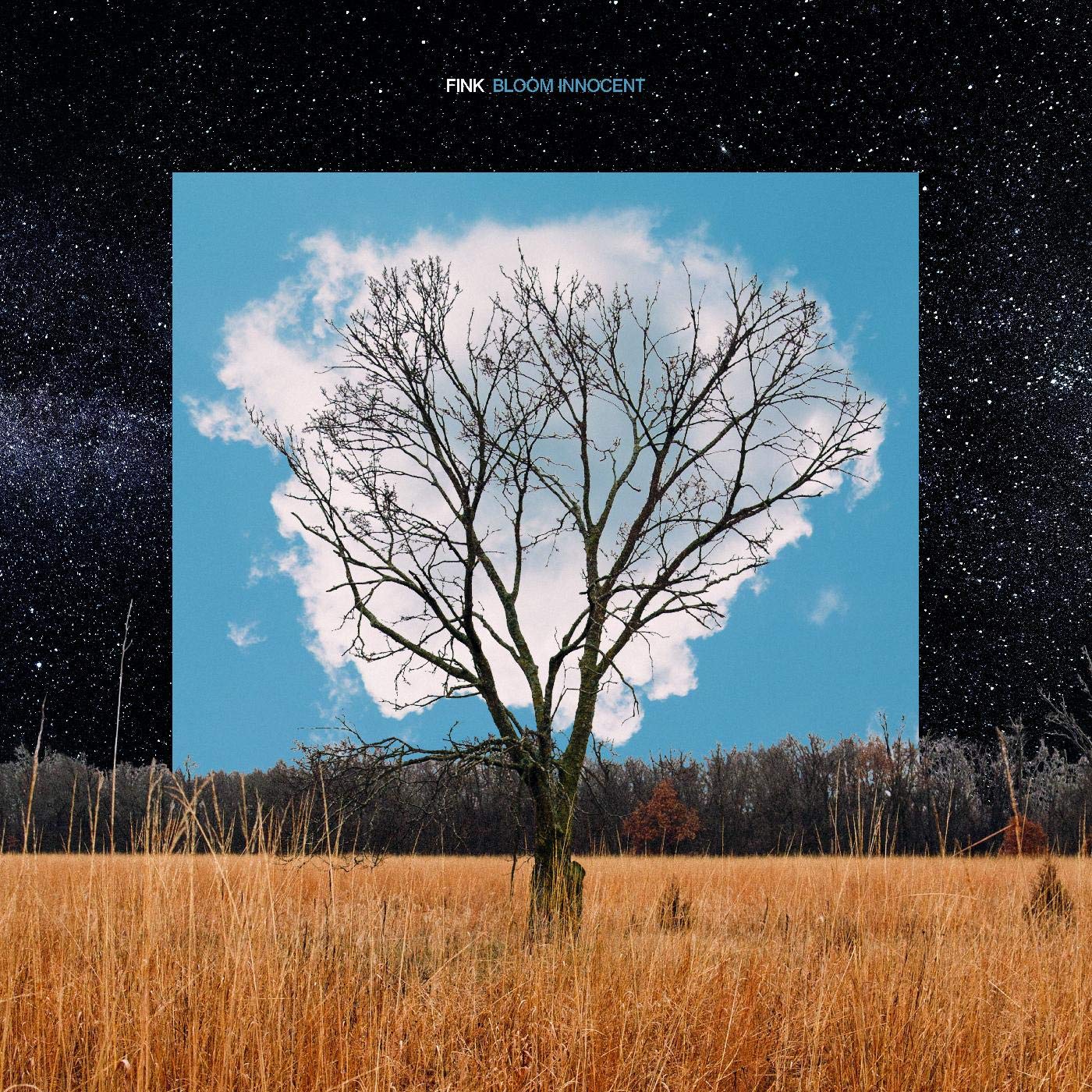 Bloom Innocent [VINYL]