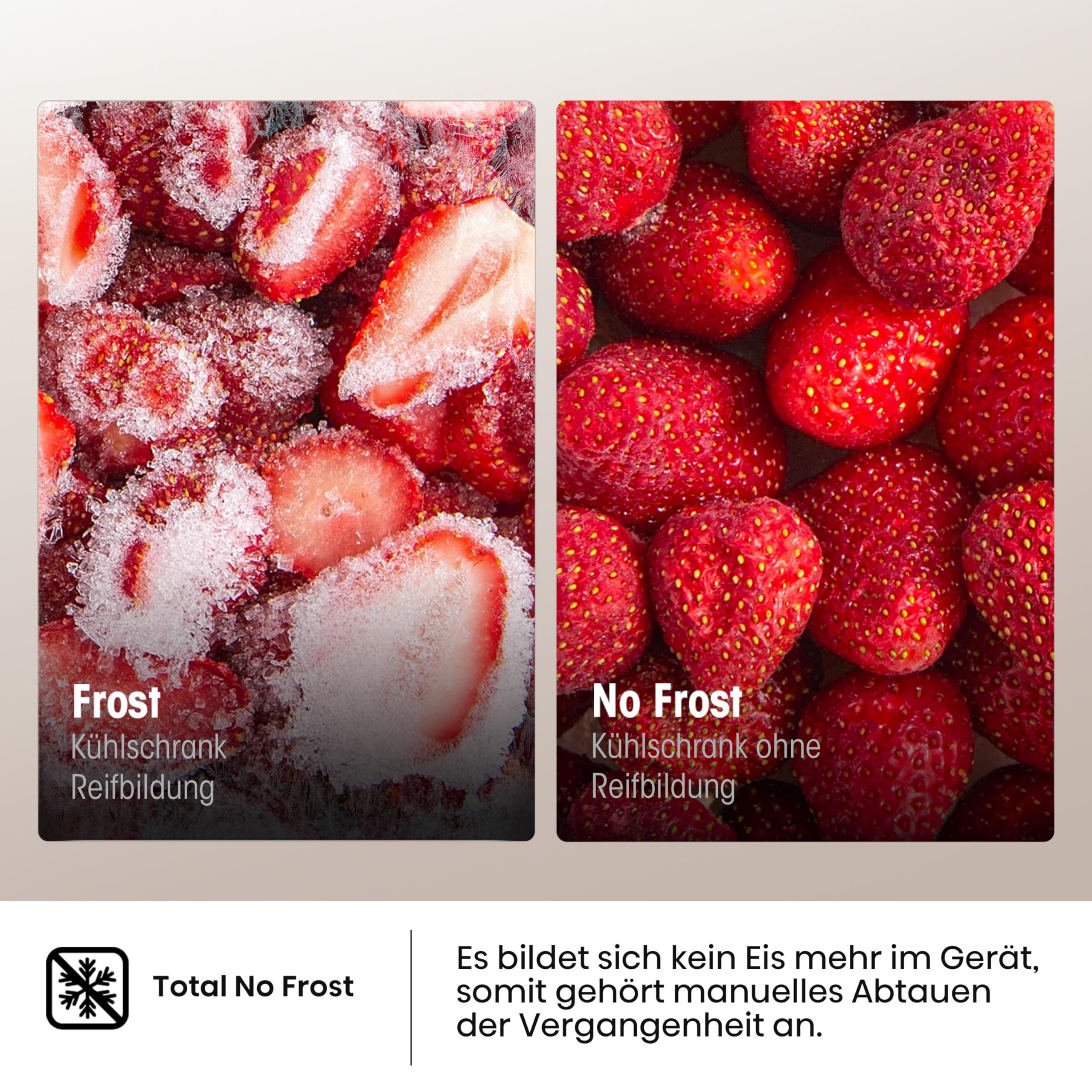 Hisense RB327N4ADD Kühl-Gefrier-Kombination, EEK D, Total NoFrost, wechselbarer Türanschlag, Flaschengitter, 171 Liter Kühlteil, 85 Liter Gefrierteil, Inox Look 4