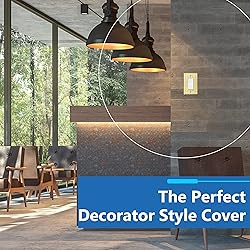 LIDER Dual Decorator Switch or Receptacle Metal