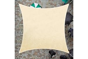 ColourTree 14' x 14' Beige CTADS14 Rectangle Waterproof Sun Shade Sail UPF50 Canopy Awning Shelter, 95% UV Block Water Resistant, Garden Carport Outdoor Patio (We Customize)