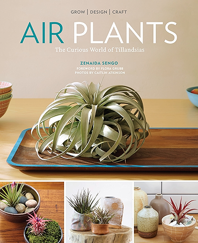 Download Air Plants: The Curious World of Tillandsias (English Edition) PDF
