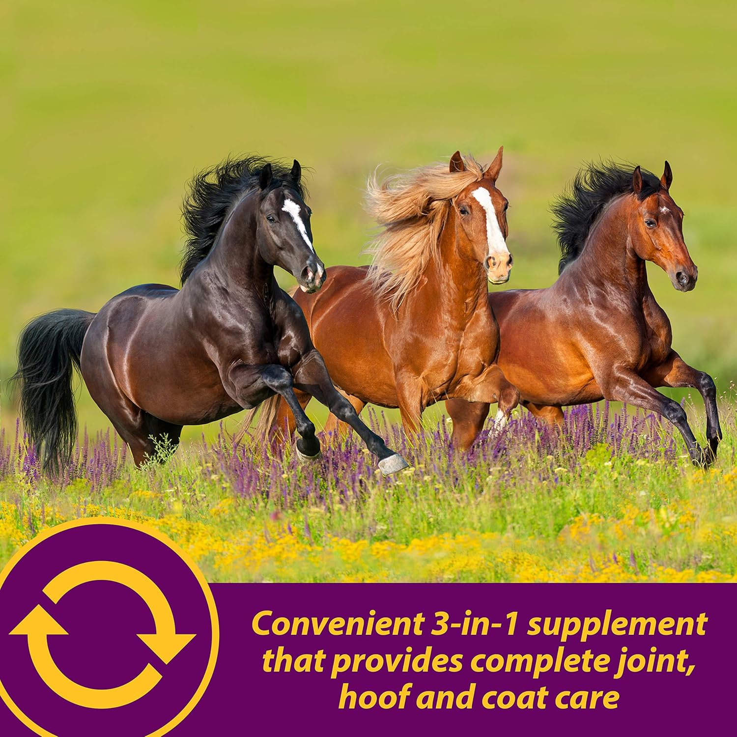 Horse Health Joint Combo Hoof & Coat, convenient 3-in-1 supplement for complete joint, hoof and coat care, 8 pound : Pet Supplements And Vitamins : Pet Supplies