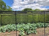 Gardening Naturally Black Butterfly Netting 2m x 5m Garden Netting view 6