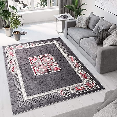 Tapiso Dream Tapis De Salon Chambre Design Moderne Gris Rouge Bordure Fenêtre Fleur Doux Fin Poil Court 300 X 400 Cm