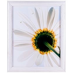 Craig Frames Wiltshire 236, Simple White Hardwood