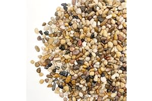 RITOLLO 1 Pound Pebbles, 3/8 Inch Pea Gravel River Rocks, for Indoor Plants, High Polished Decorative Stones Vase Filler Fish Tank Aquariums Landscaping Garden Outdoor, Mixed Color
