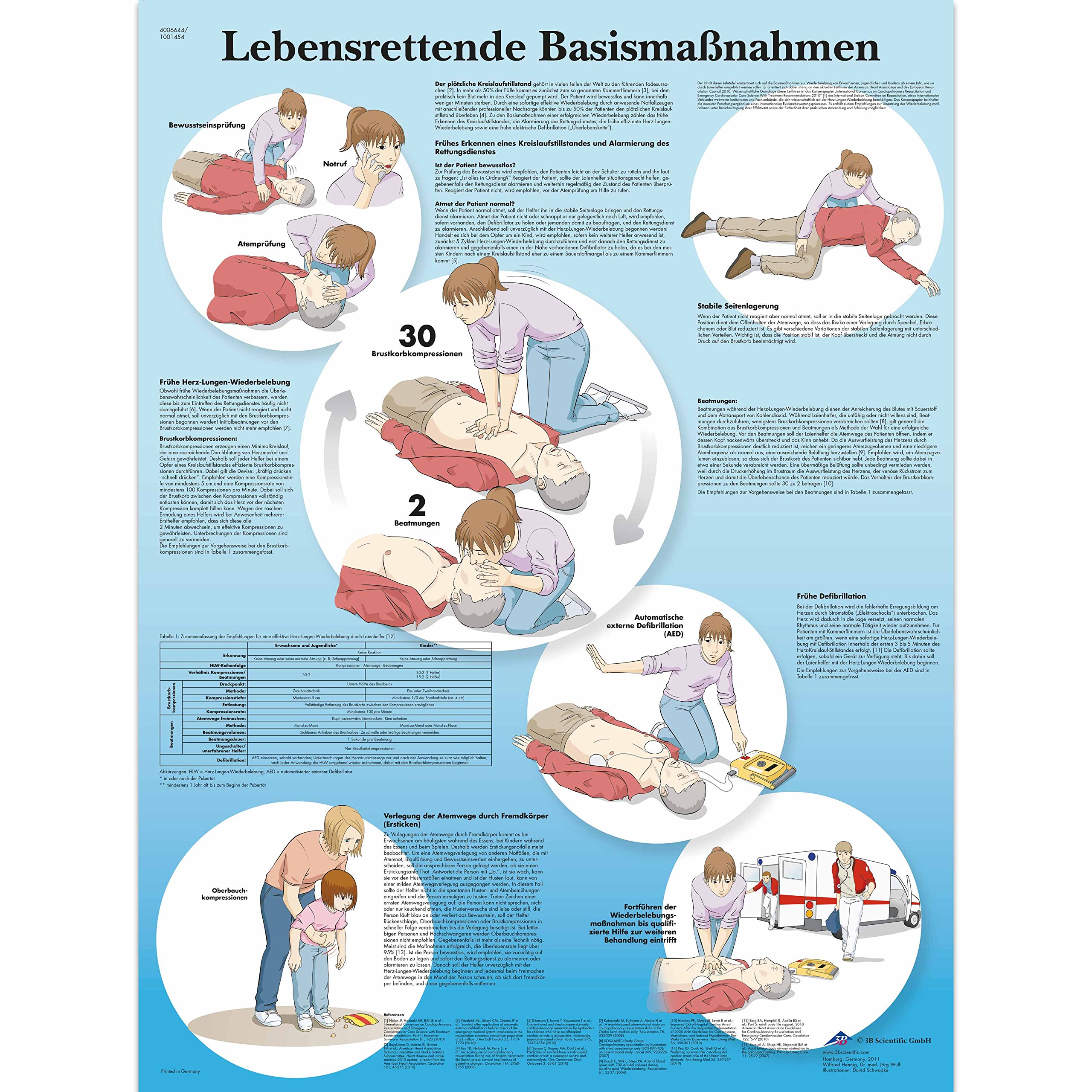 3B Scientific Laminated Chart - Life Saving Basic Measurements