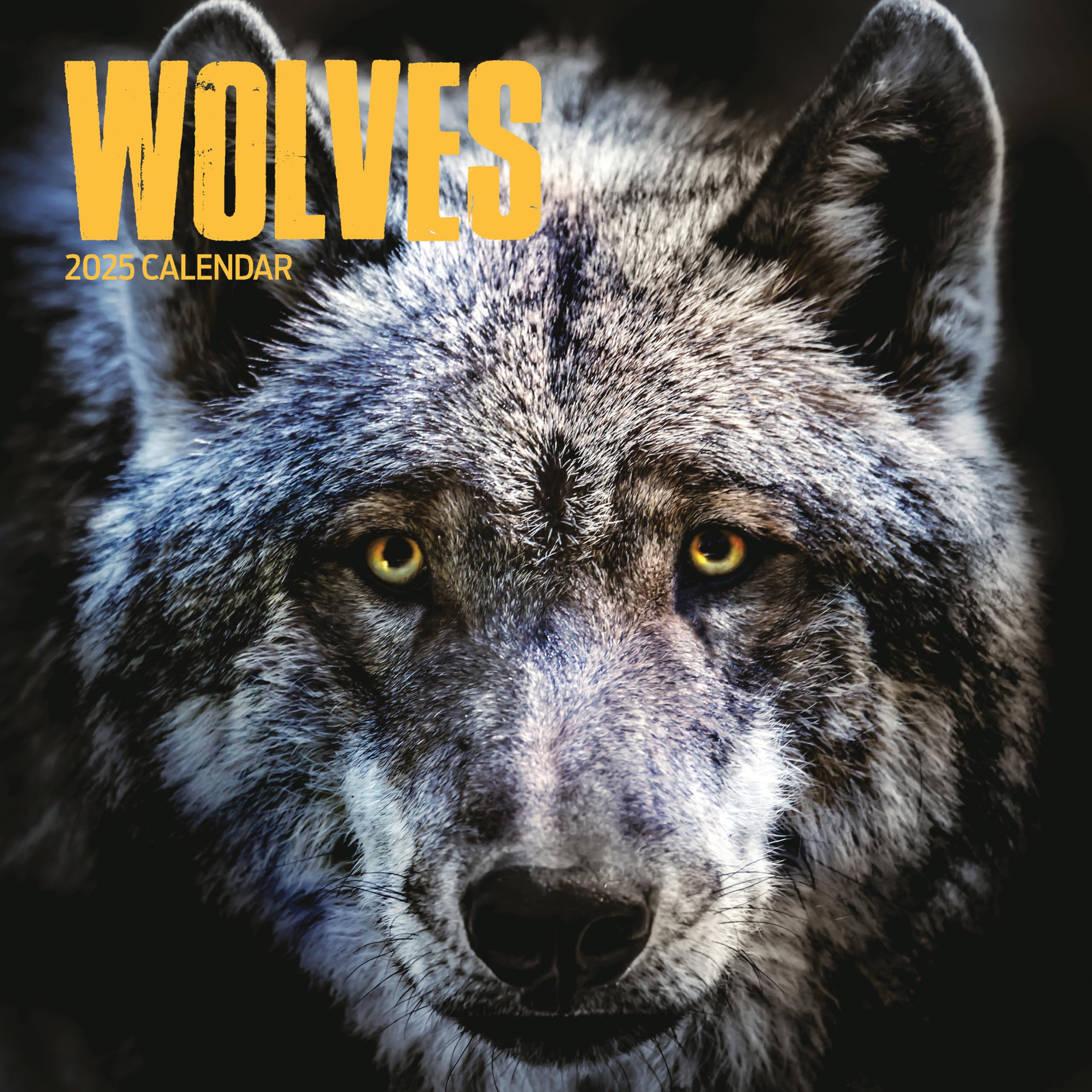Wolves 2025 Calendar