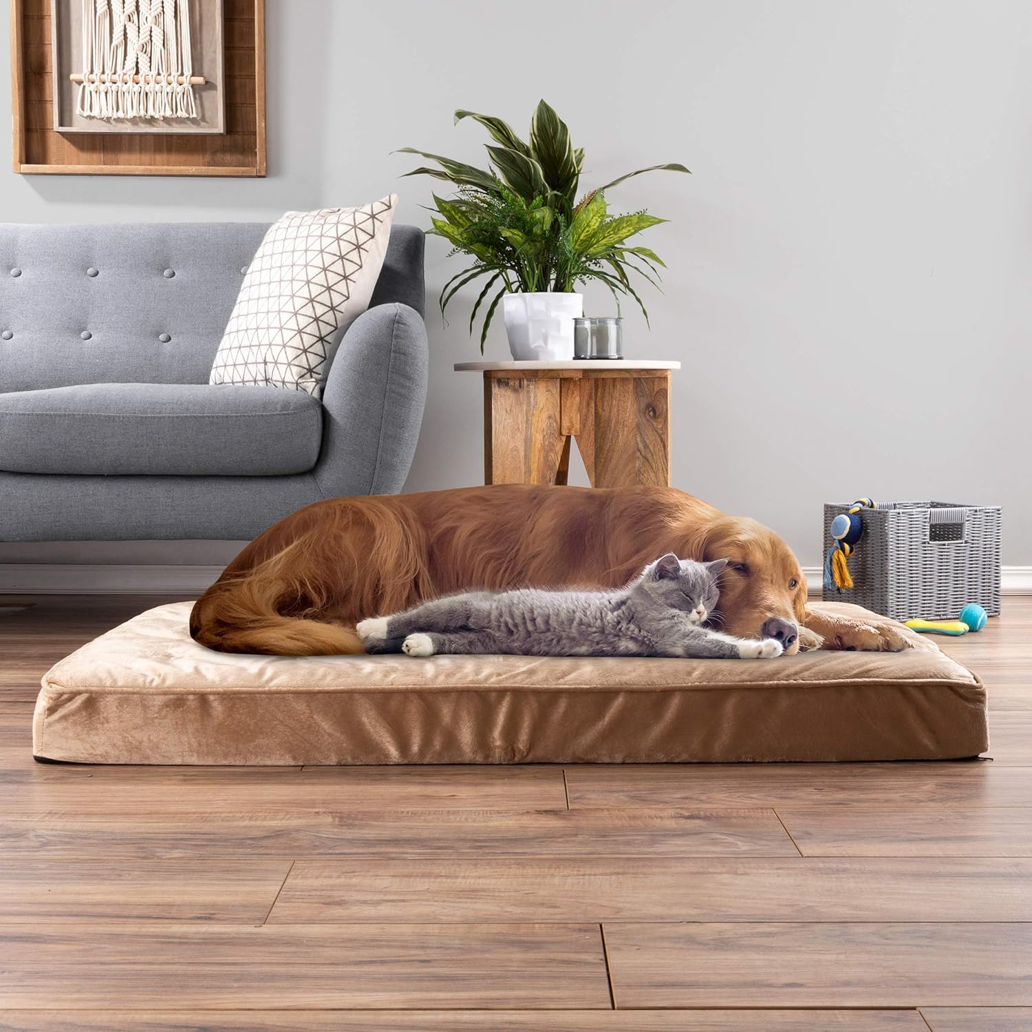 Amazon Com Petmaker Pet Bed Egg Crate 100 Memory Foam Orthopedic Cushion With Quilted Water Resistant Nonslip Machine Washable Cover 46 X 27 X 4 Pet Supplies