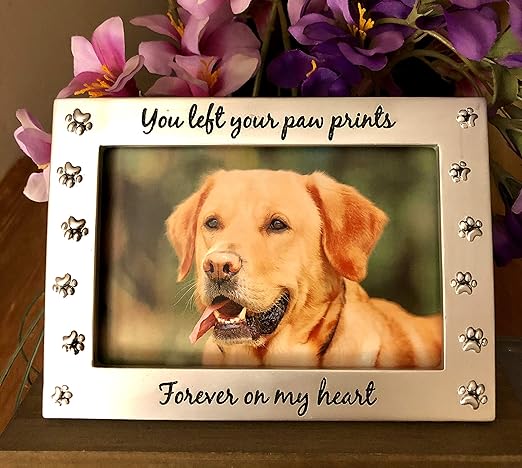 amazon pet memorial
