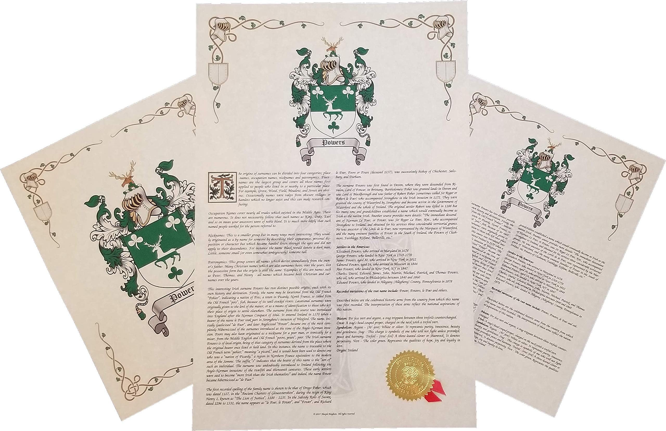Neumayer Coat of Arms, Family Crest & History 3 Print Combo - Name Meaning Plus Genealogy, Family Tree Research - Surname Origin: Germany/German