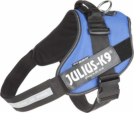 julius k9 labels amazon