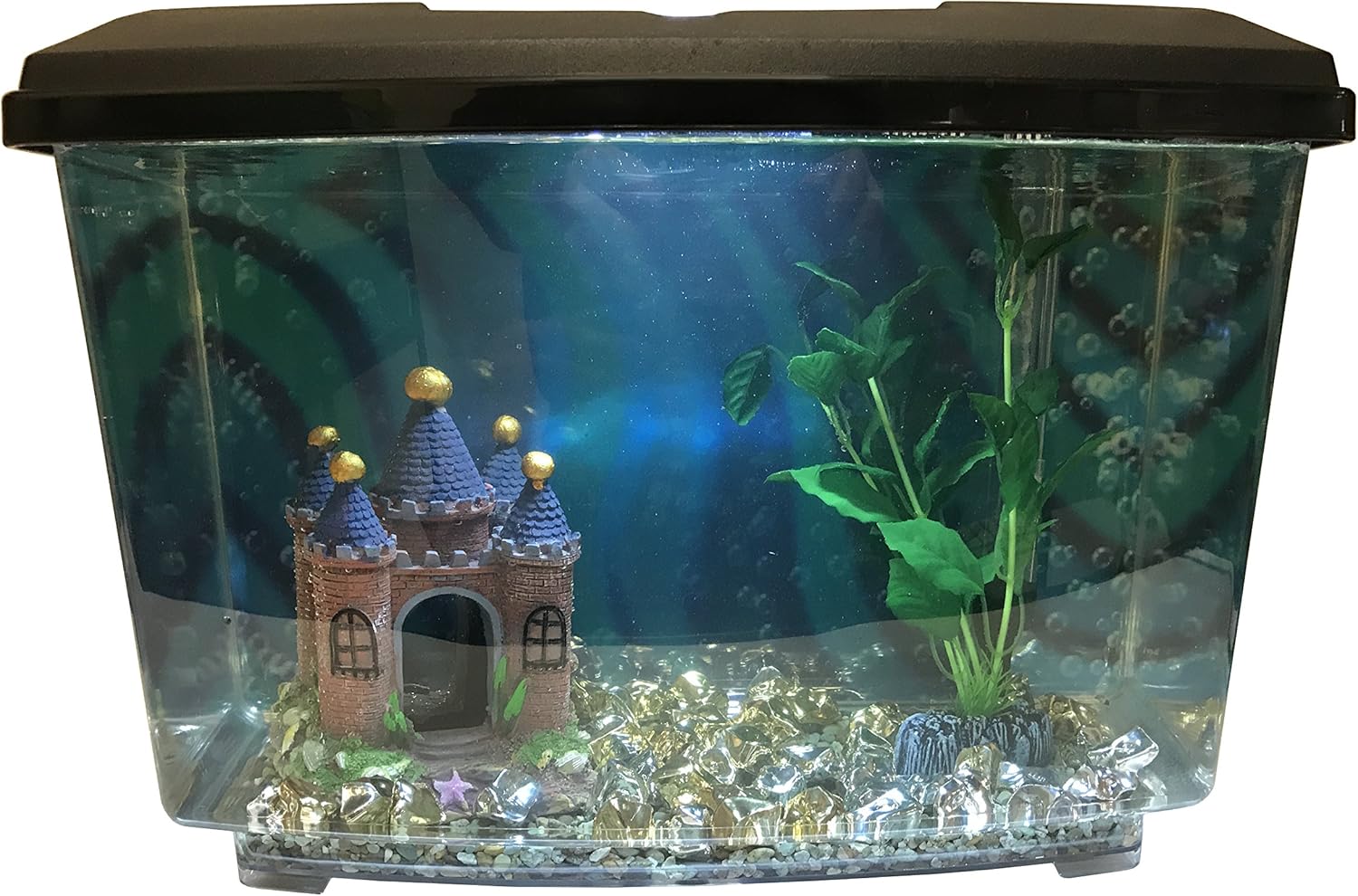 Crazy Aquarium Decorations Things Decor Ideas