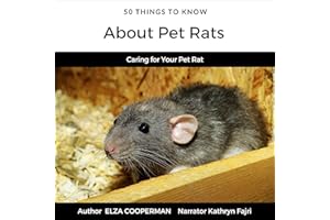 50 Things to Know About Pet Rats: Caring for Your Pet Rat