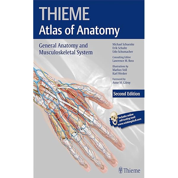 Sarrafian's Anatomy of the Foot and Ankle: Descriptive