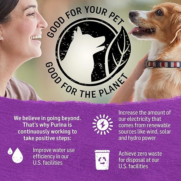 PURINA BEYOND GRAVY, BEEF, CHICKEN OR TURKEY IN GRAVY GROUND ENTREE GRAIN FREE WET DOG FOOD VARIETY PACK – (PACK OF 6) 12.5 OZ. CANS